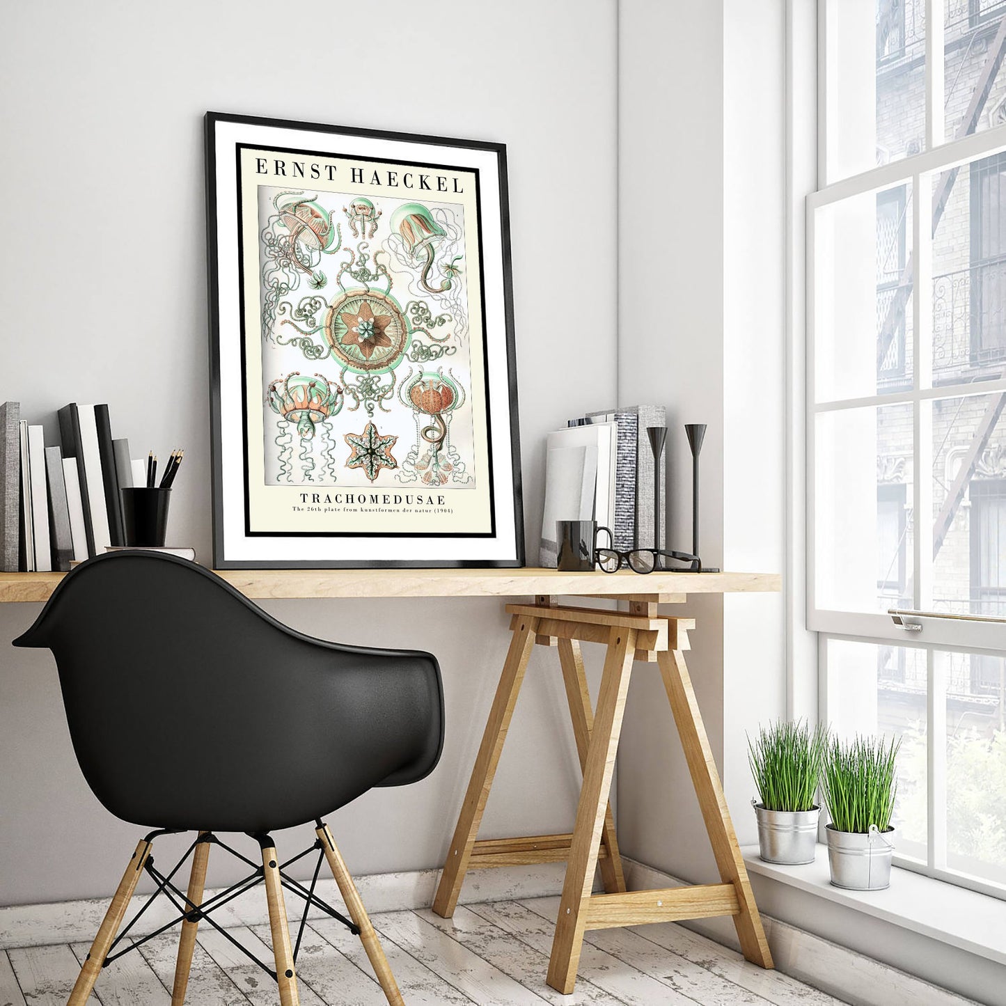 Ernst Haeckel Trachomedusae Art Print - Vintage Jellyfish Illustration Poster - Art Forms in Nature 1904 - Sea Life 3/3