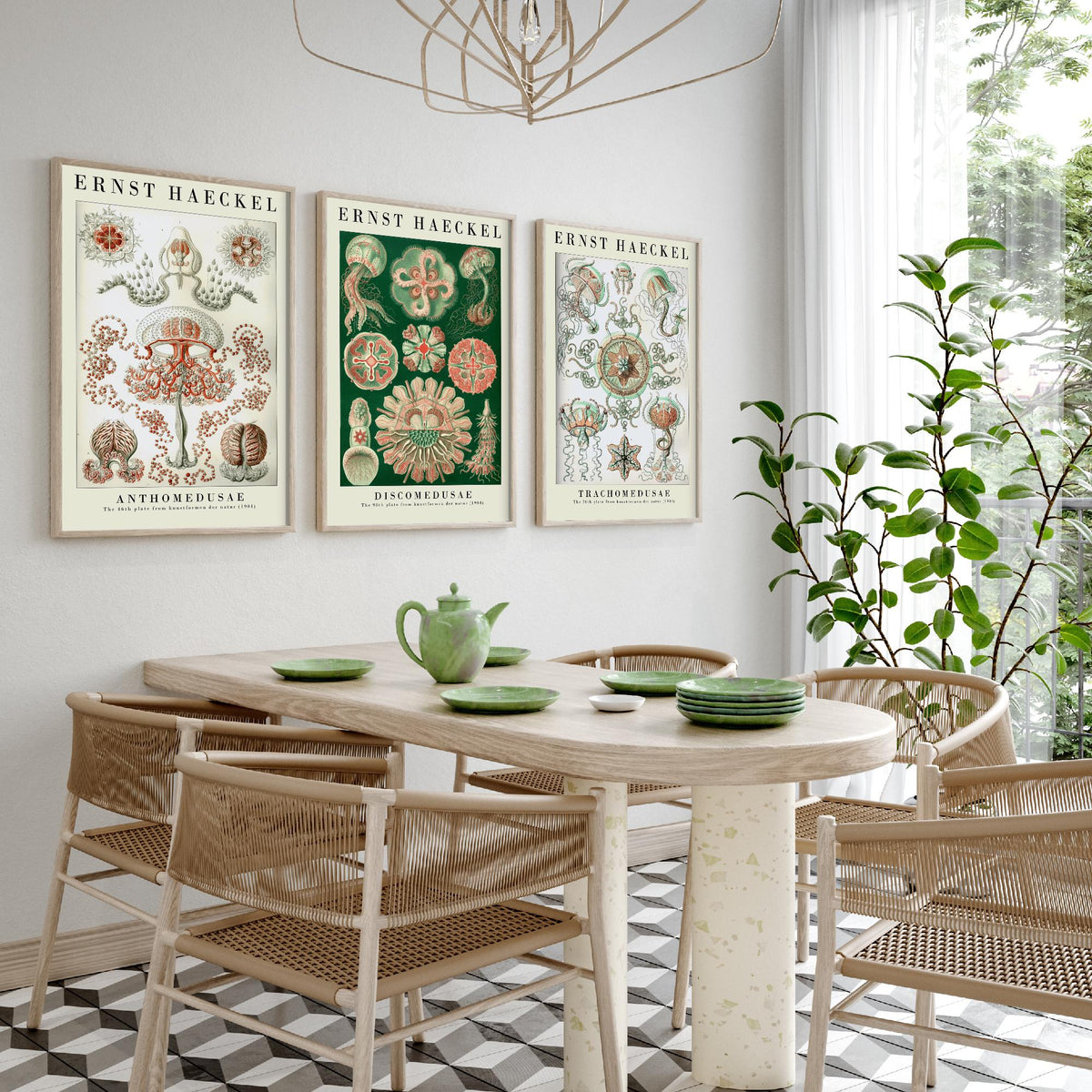 Ernst Haeckel Set of Three Art Prints - 3 Jellyfish Anthomedusae Discomedusae Trachomedusae Posters - Vintage Wall Art Illustration