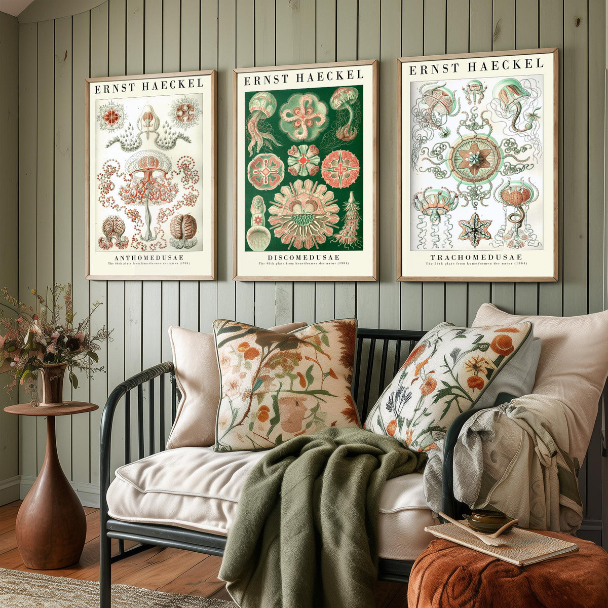 Ernst Haeckel Set of Three Art Prints - 3 Jellyfish Anthomedusae Discomedusae Trachomedusae Posters - Vintage Wall Art Illustration