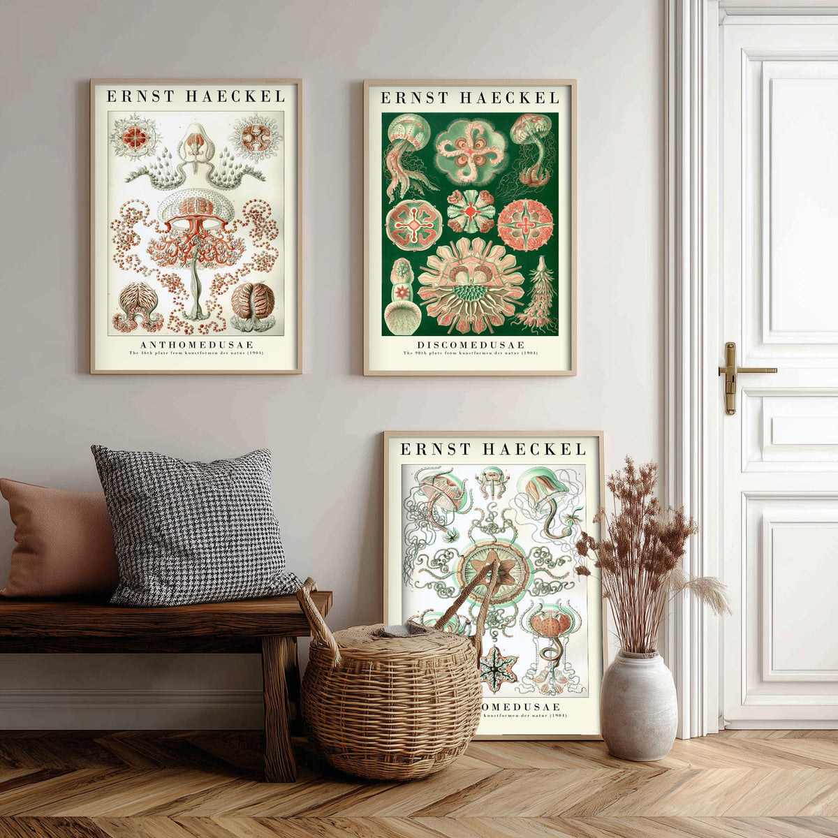 Ernst Haeckel Set of Three Art Prints - 3 Jellyfish Anthomedusae Discomedusae Trachomedusae Posters - Vintage Wall Art Illustration