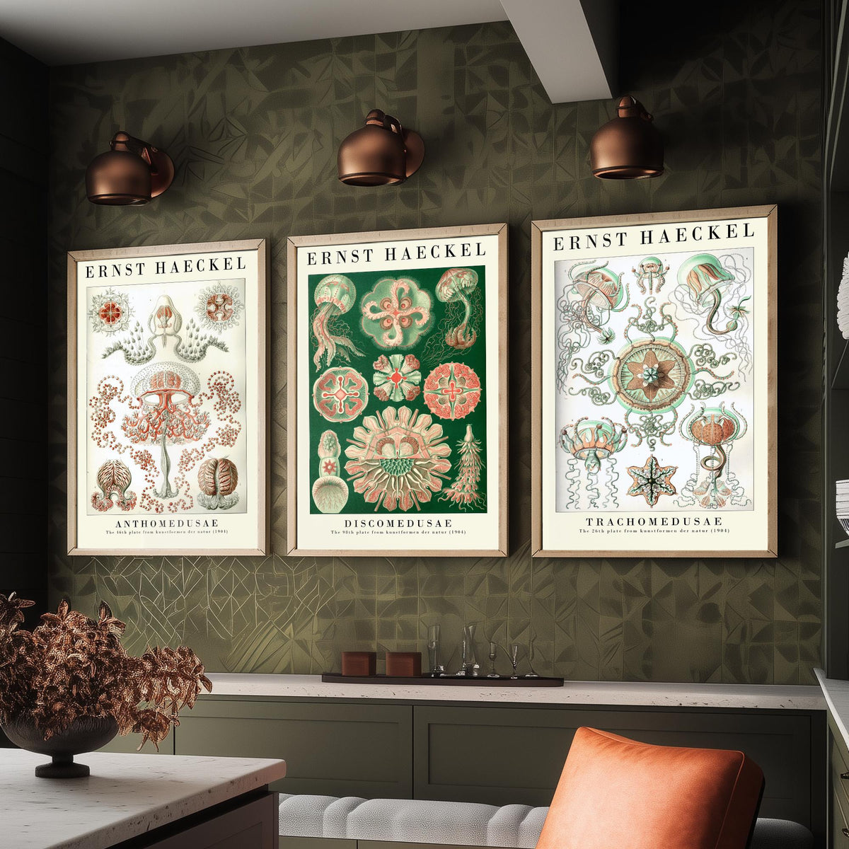 Ernst Haeckel Set of Three Art Prints - 3 Jellyfish Anthomedusae Discomedusae Trachomedusae Posters - Vintage Wall Art Illustration