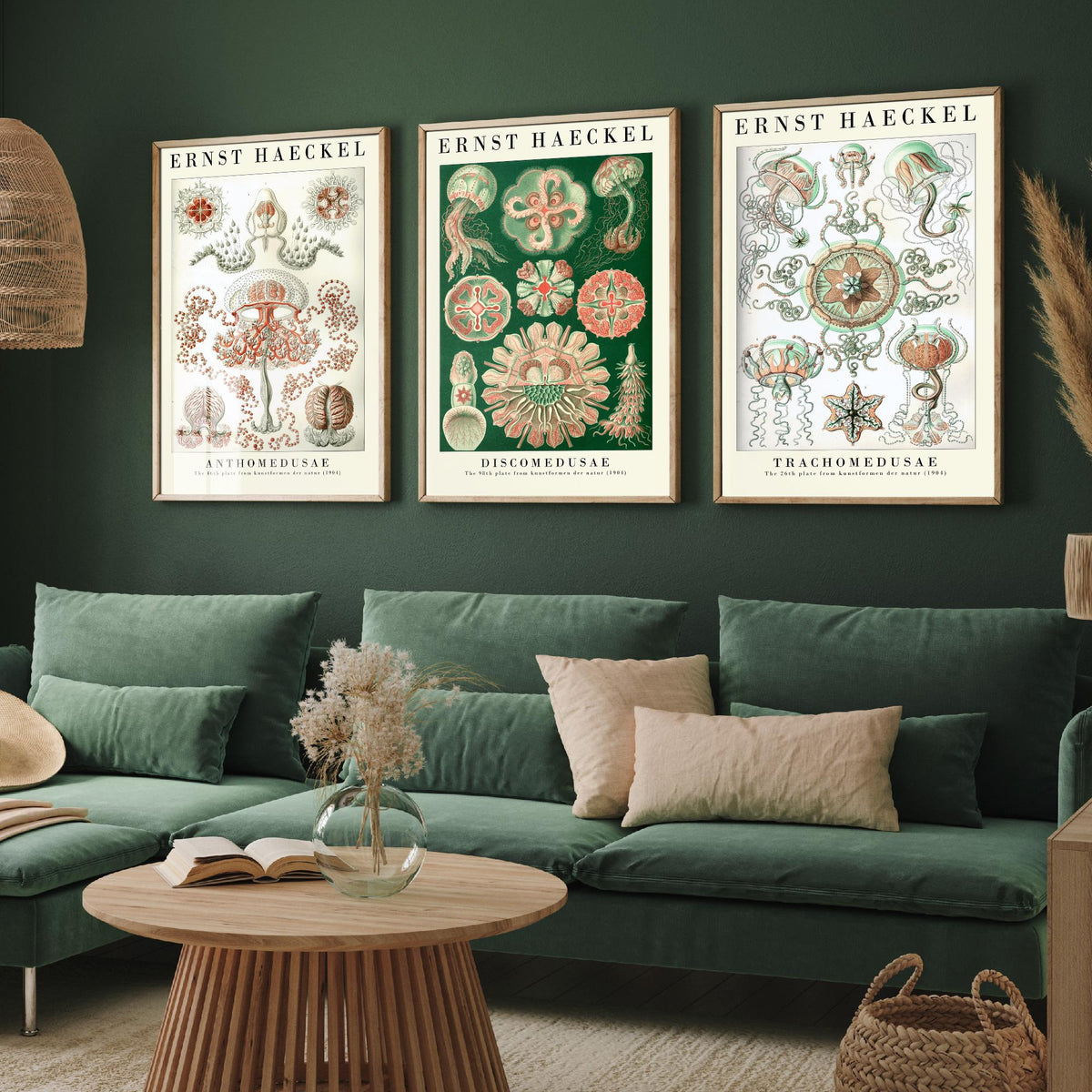 Ernst Haeckel Set of Three Art Prints - 3 Jellyfish Anthomedusae Discomedusae Trachomedusae Posters - Vintage Wall Art Illustration