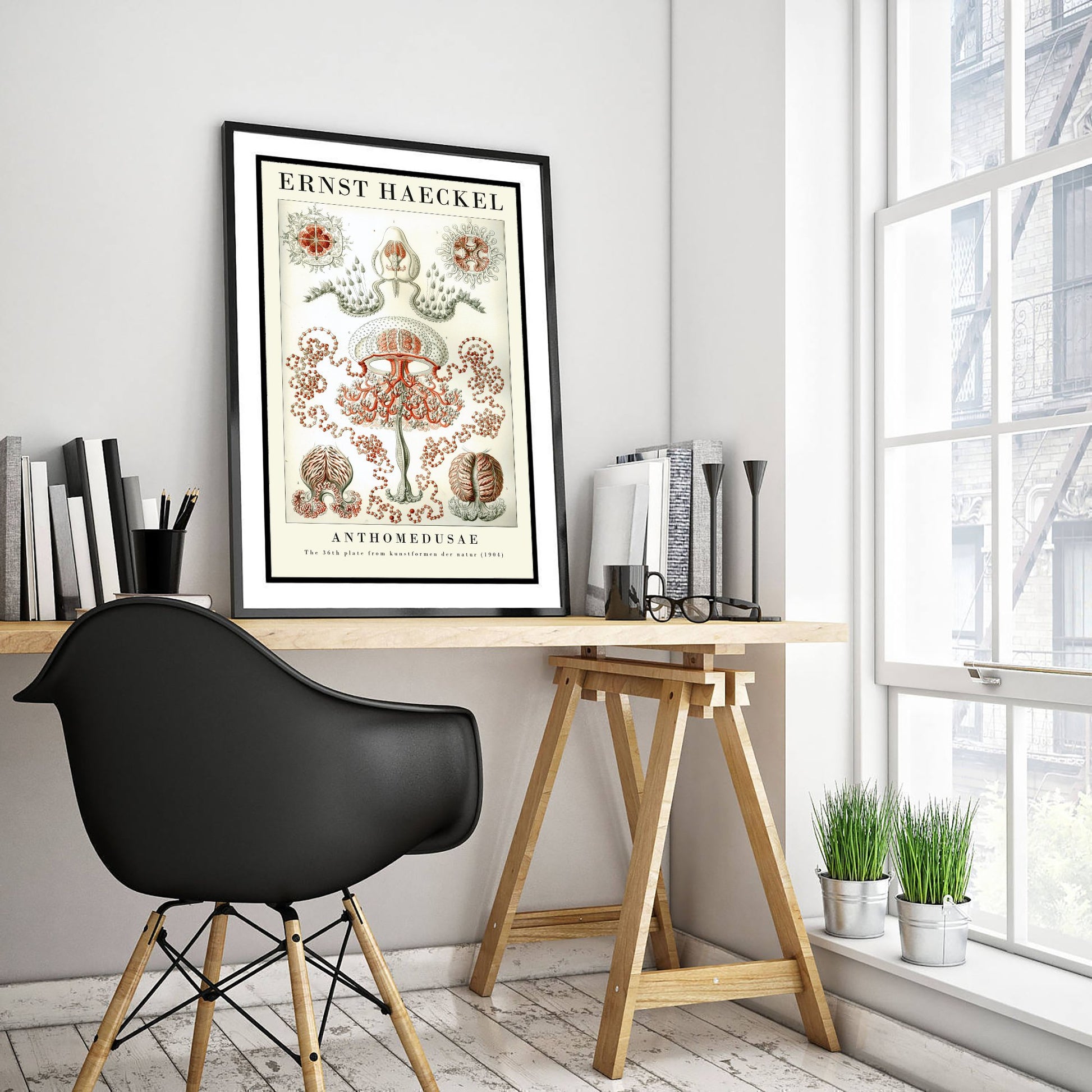Jellyfish Art Print - Ernst Haeckel Poster - Anthomedusae Plate 36 - Art Forms in Nature Vintage Illustration