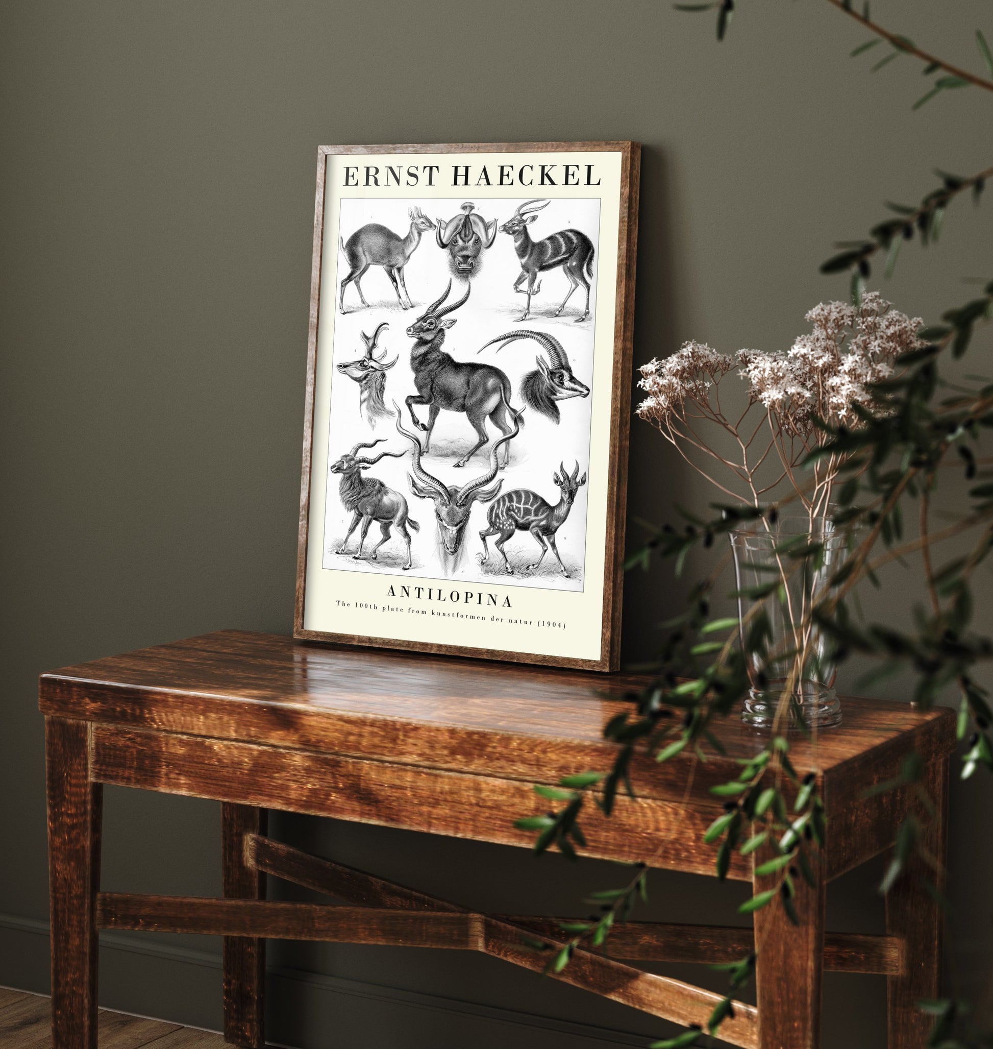 Antelope Art Print - Ernst Haeckel Poster - Antilopina Plate 100 - Art Forms in Nature Vintage Illustration