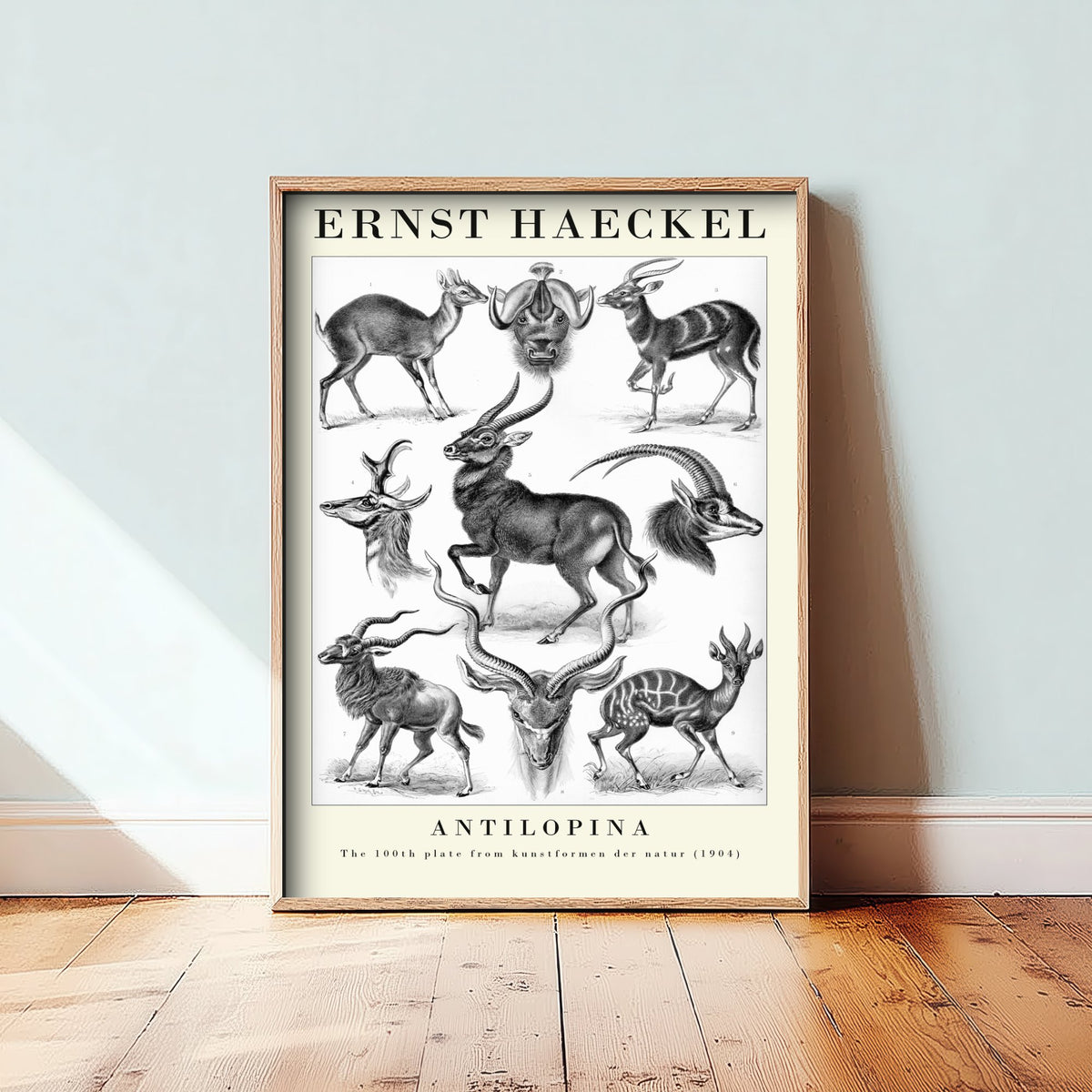 Antelope Art Print - Ernst Haeckel Poster - Antilopina Plate 100 - Art Forms in Nature Vintage Illustration
