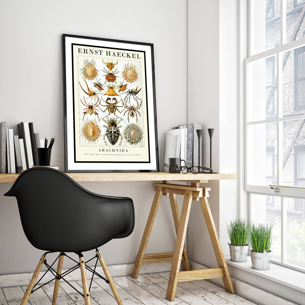 Spiders Art Print - Ernst Haeckel Poster - Arachnida Plate 66 - Art Forms in Nature Vintage Illustration