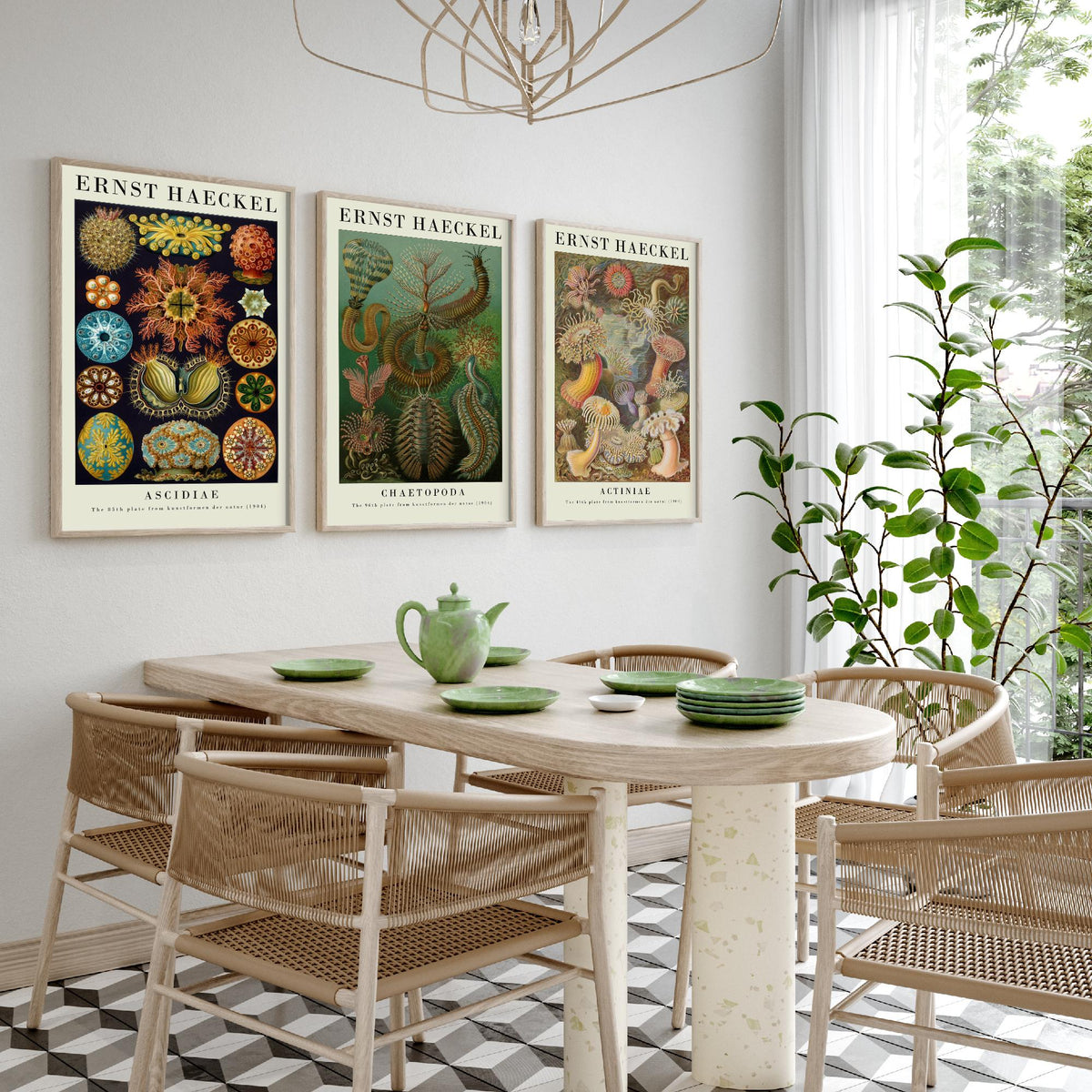 Ernst Haeckel Set of Three Gallery Art Prints - 3 Sea Squirt Bristle Worm Sea Anemone Posters - Vintage Natural History Illustration