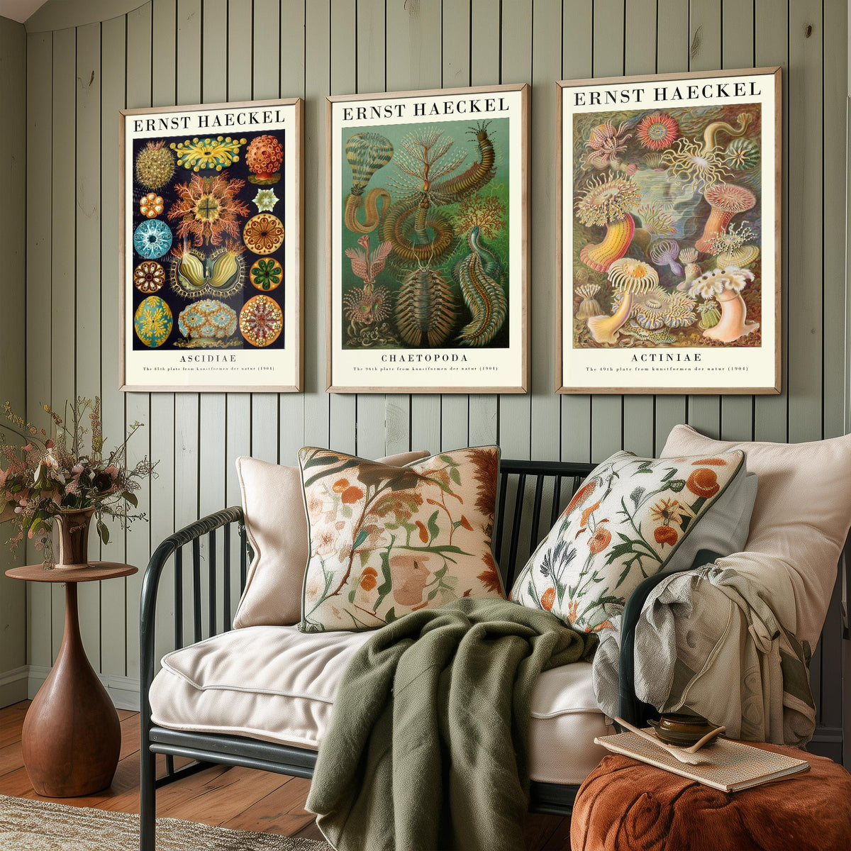 Ernst Haeckel Set of Three Gallery Art Prints - 3 Sea Squirt Bristle Worm Sea Anemone Posters - Vintage Natural History Illustration