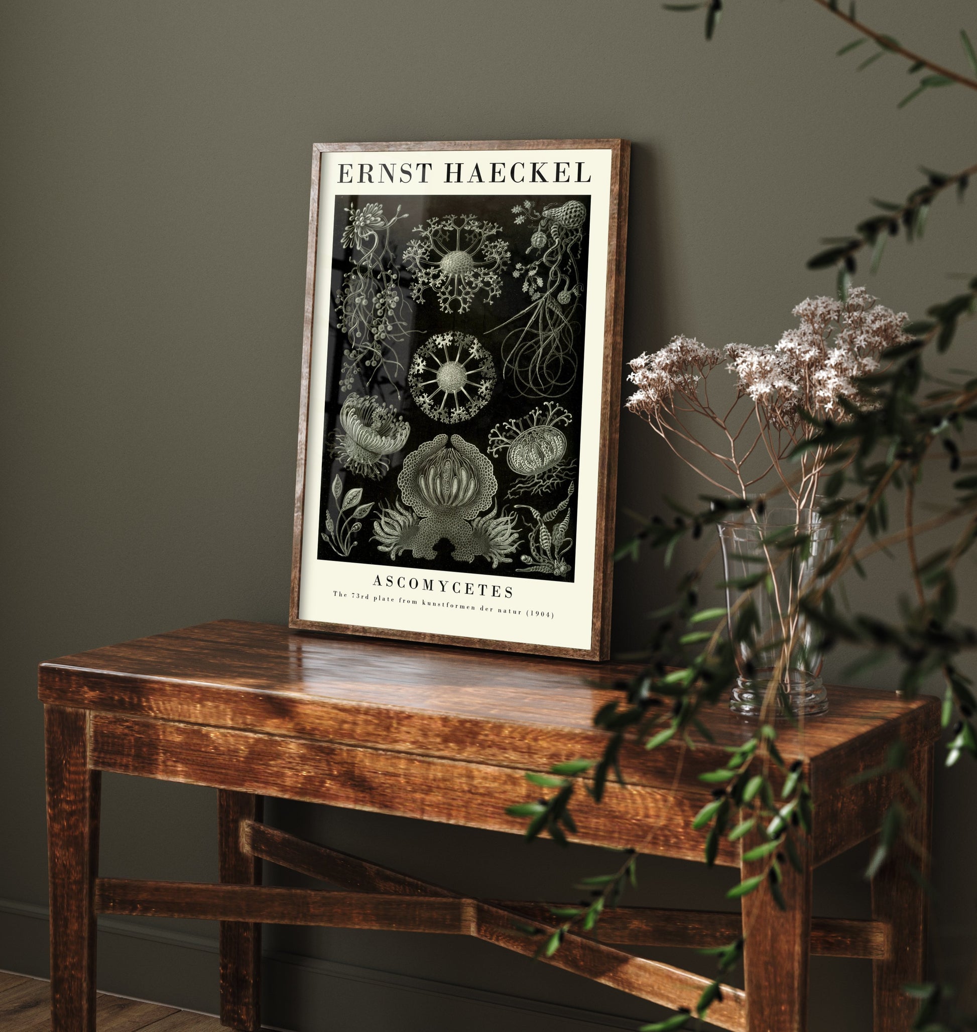 Fungi Art Print - Ernst Haeckel Poster - Ascomycetes Plate 73 - Art Forms in Nature Vintage Illustration