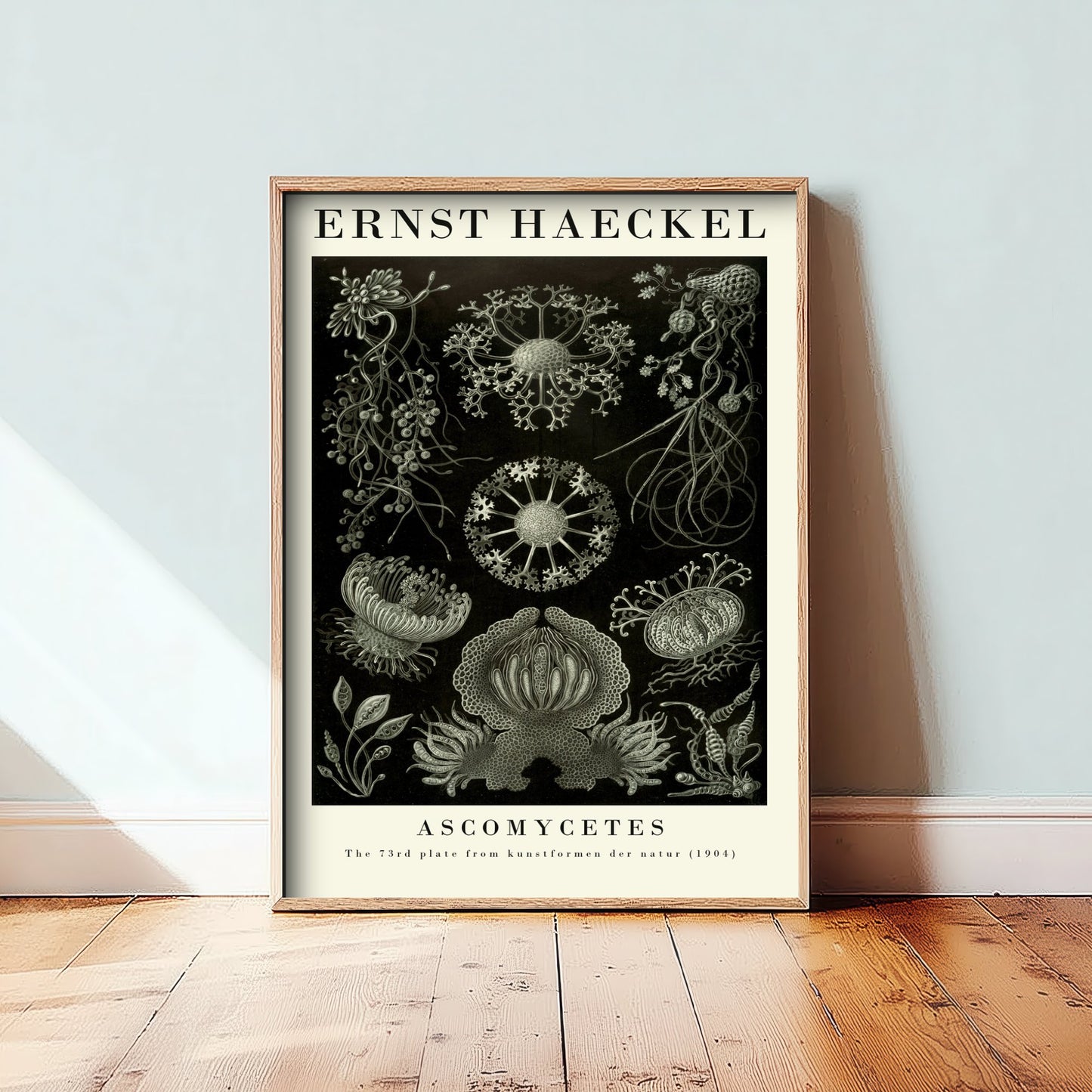 Fungi Art Print - Ernst Haeckel Poster - Ascomycetes Plate 73 - Art Forms in Nature Vintage Illustration