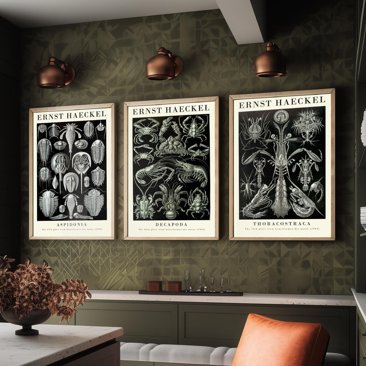 Ernst Haeckel Set of Three Gallery Art Prints - 3 Horseshoe Crab Lobster Shrimp Posters - Vintage Natural History Illustration