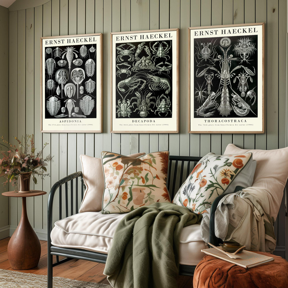 Ernst Haeckel Set of Three Gallery Art Prints - 3 Horseshoe Crab Lobster Shrimp Posters - Vintage Natural History Illustration