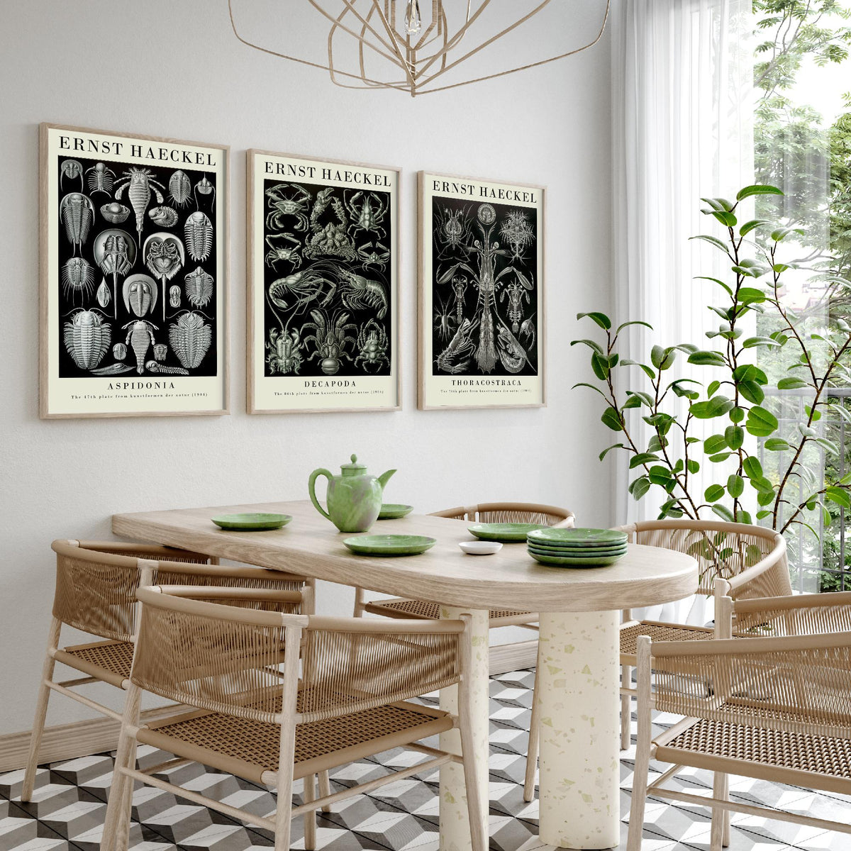 Ernst Haeckel Set of Three Gallery Art Prints - 3 Horseshoe Crab Lobster Shrimp Posters - Vintage Natural History Illustration