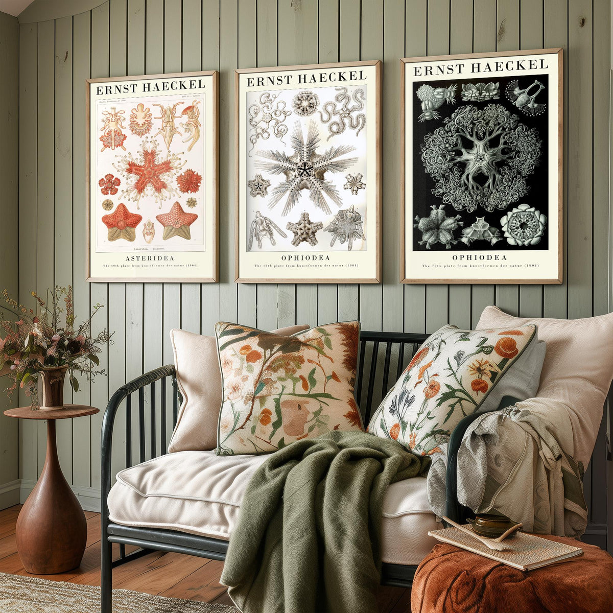Ernst Haeckel Set of Three Gallery Art Prints - 3 Starfish Brittle Star Sea Star Posters - Vintage Natural History Illustration