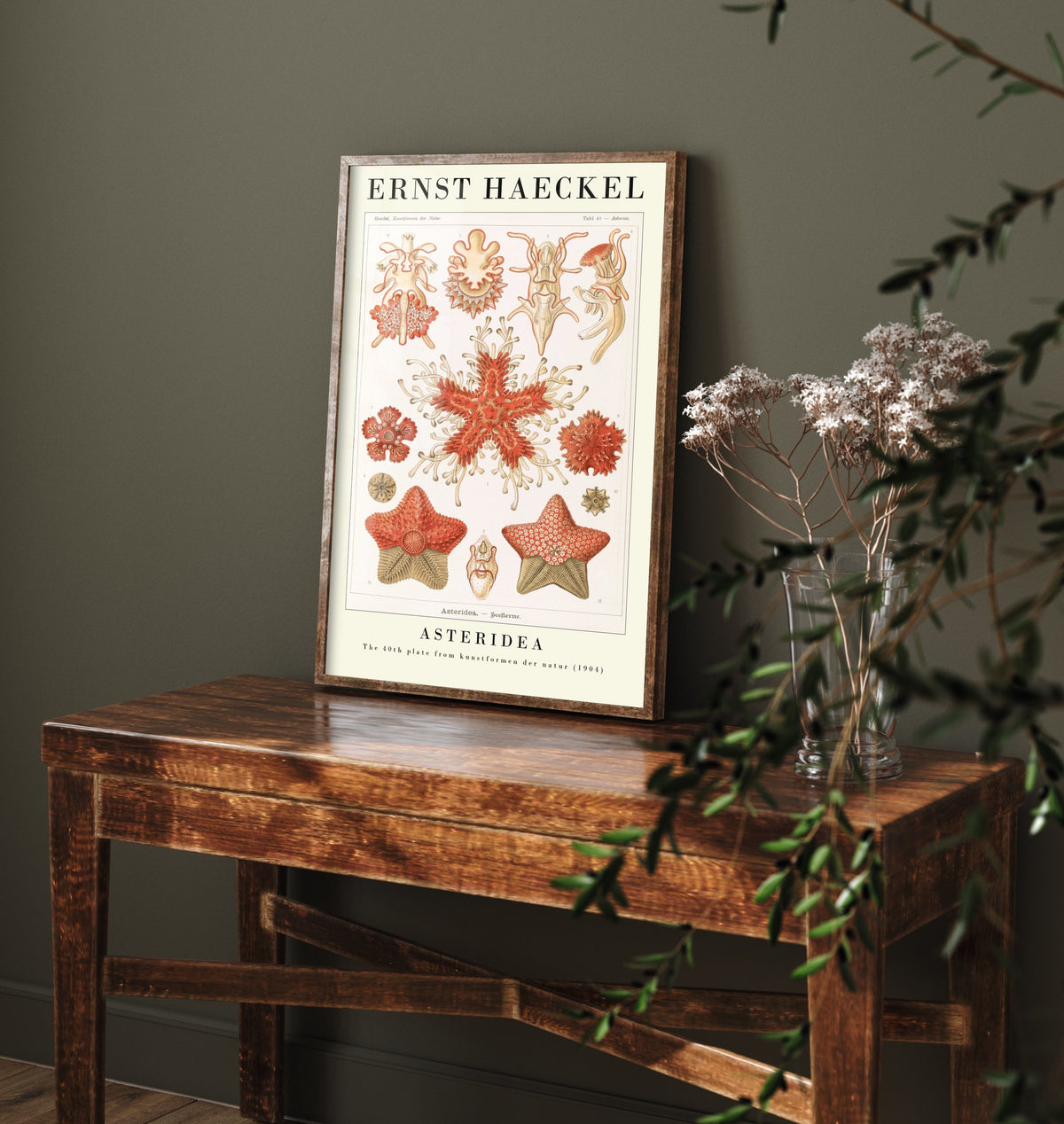 Starfish Art Print - Ernst Haeckel Poster - Asteridea Plate 40 - Art Forms in Nature Vintage Illustration