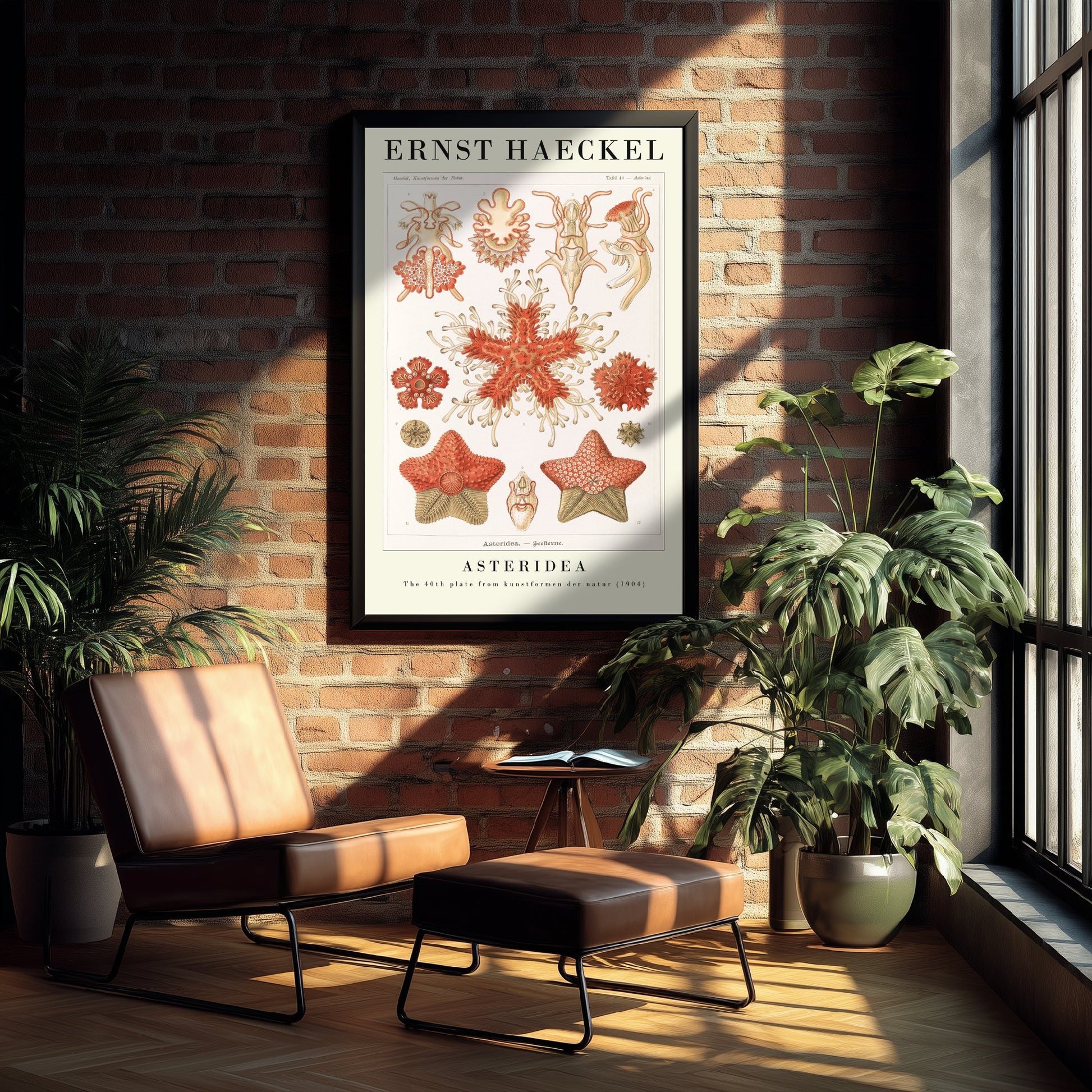 Starfish Art Print - Ernst Haeckel Poster - Asteridea Plate 40 - Art Forms in Nature Vintage Illustration