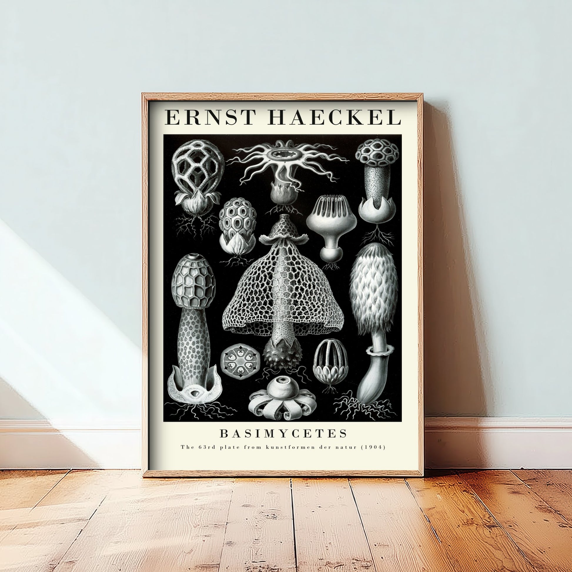 Mushroom Art Print - Ernst Haeckel Poster - Basimycetes Plate 63 - Art Forms in Nature Vintage Illustration