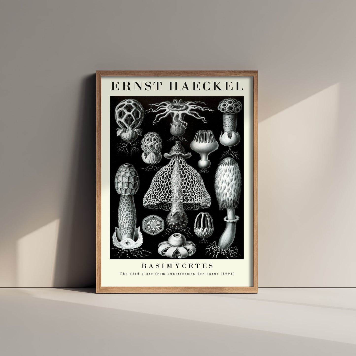 Mushroom Art Print - Ernst Haeckel Poster - Basimycetes Plate 63 - Art Forms in Nature Vintage Illustration