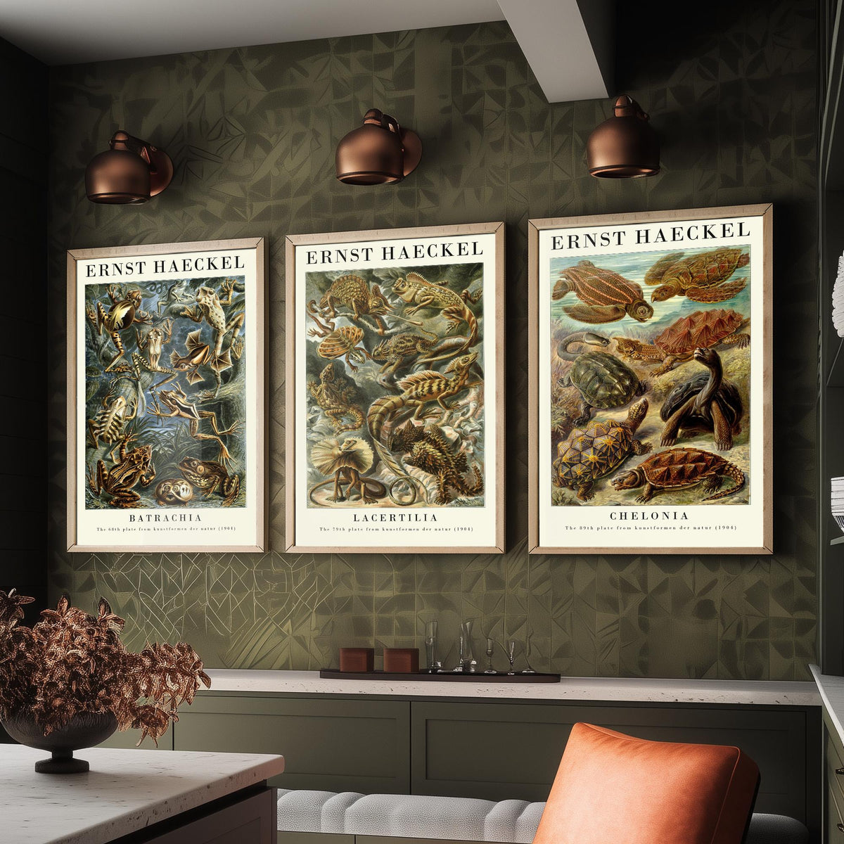 Ernst Haeckel Set of Three Gallery Art Prints - 3 Frog Lizard Turtle Posters - Vintage Natural History Reptile Wall Illustration