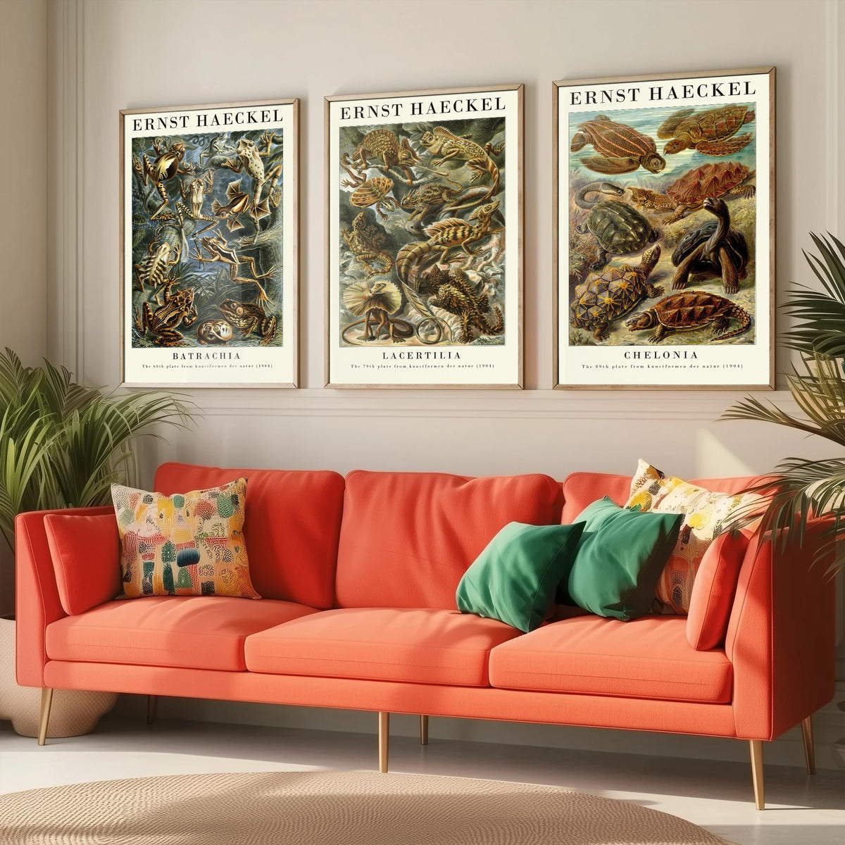 Ernst Haeckel Set of Three Gallery Art Prints - 3 Frog Lizard Turtle Posters - Vintage Natural History Reptile Wall Illustration