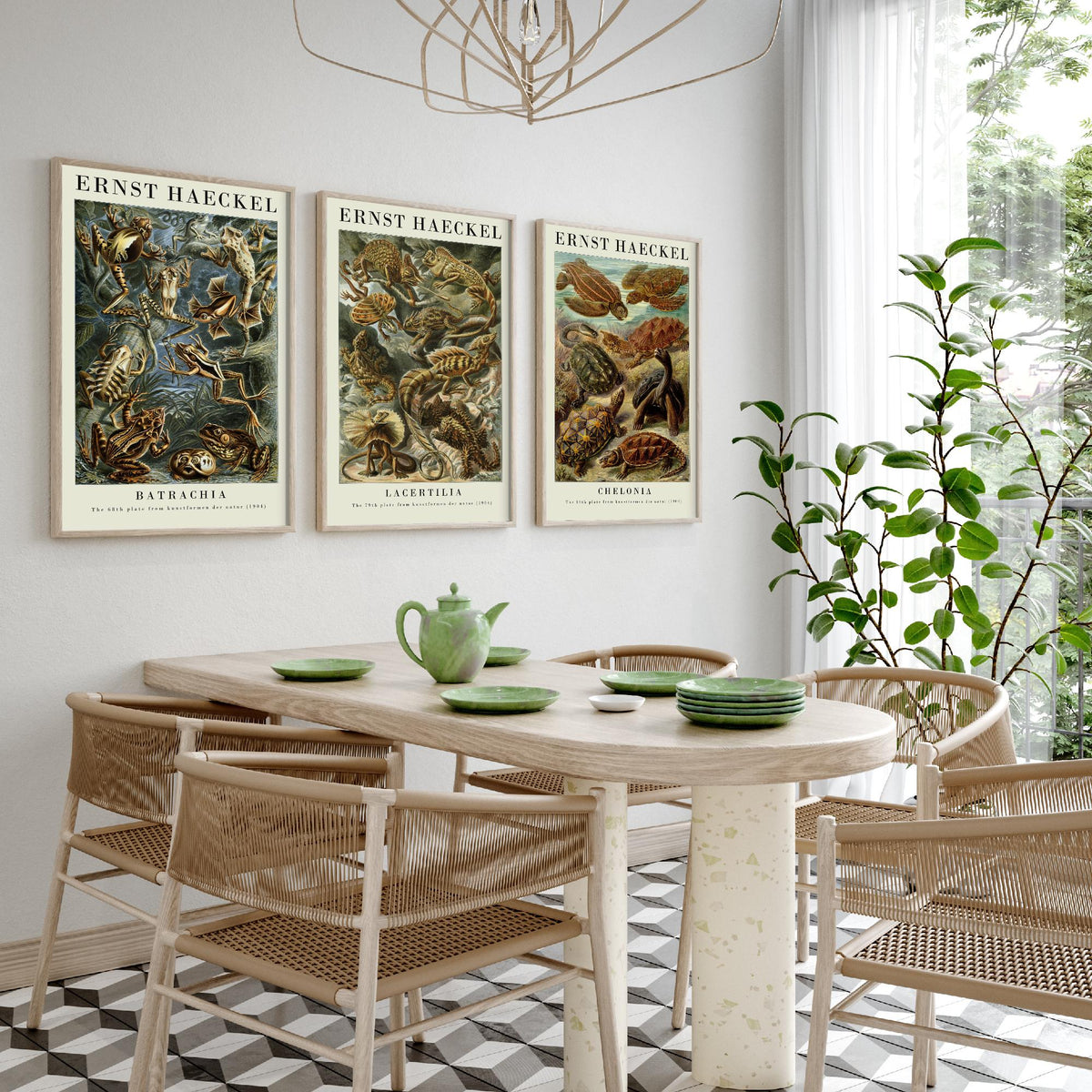Ernst Haeckel Set of Three Gallery Art Prints - 3 Frog Lizard Turtle Posters - Vintage Natural History Reptile Wall Illustration