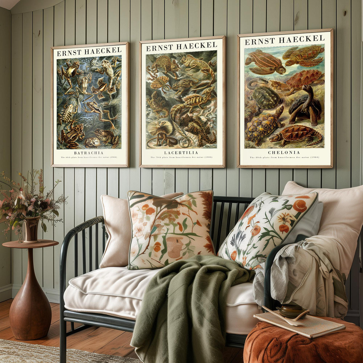 Ernst Haeckel Set of Three Gallery Art Prints - 3 Frog Lizard Turtle Posters - Vintage Natural History Reptile Wall Illustration