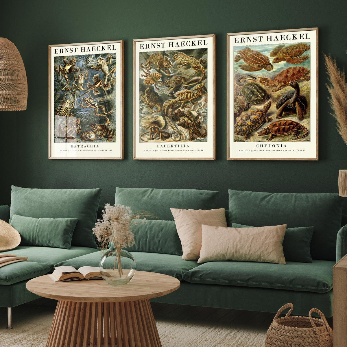 Ernst Haeckel Set of Three Gallery Art Prints - 3 Frog Lizard Turtle Posters - Vintage Natural History Reptile Wall Illustration