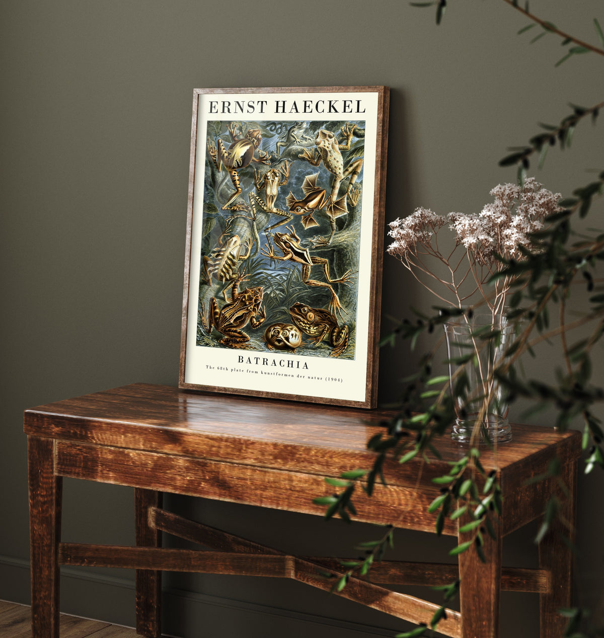 Frog Art Print - Ernst Haeckel Poster - Batrachia Plate 68 - Art Forms in Nature Vintage Illustration