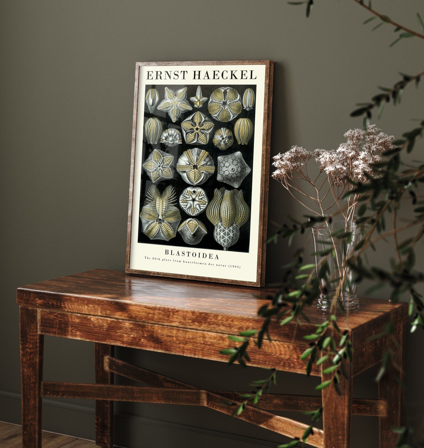 Sea Buds Art Print - Ernst Haeckel Poster - Blastoidea Plate 80 - Art Forms in Nature Vintage Illustration