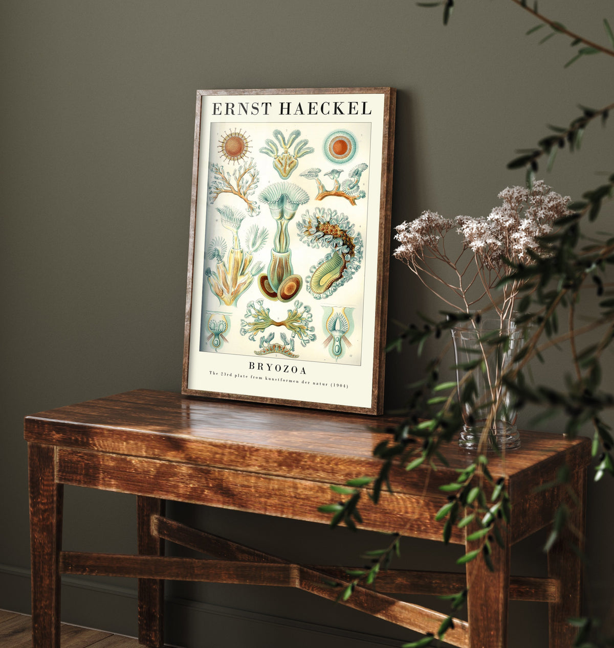 Moss Animals Art Print - Ernst Haeckel Poster - Bryozoa Plate 23 - Art Forms in Nature Vintage Illustration