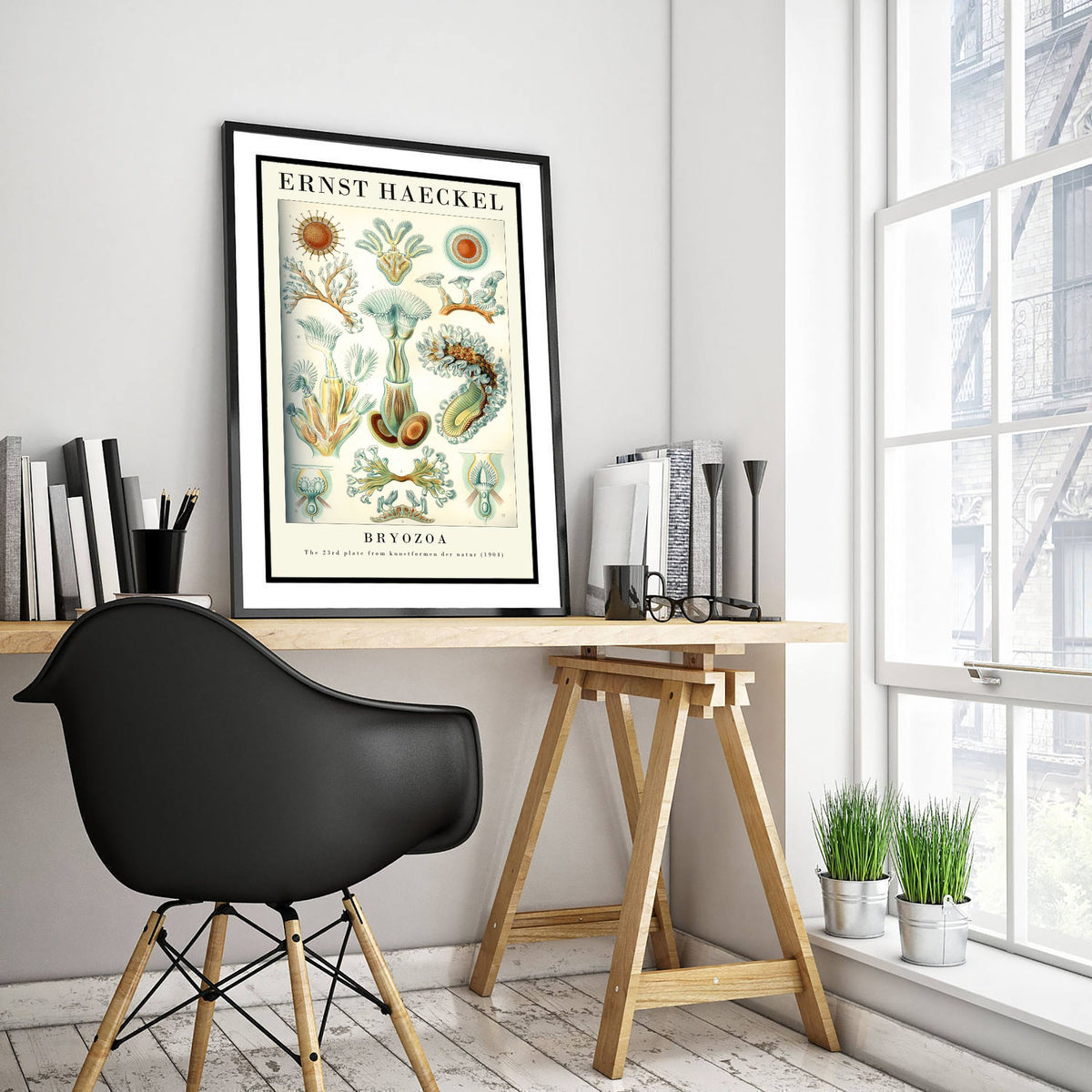 Moss Animals Art Print - Ernst Haeckel Poster - Bryozoa Plate 23 - Art Forms in Nature Vintage Illustration