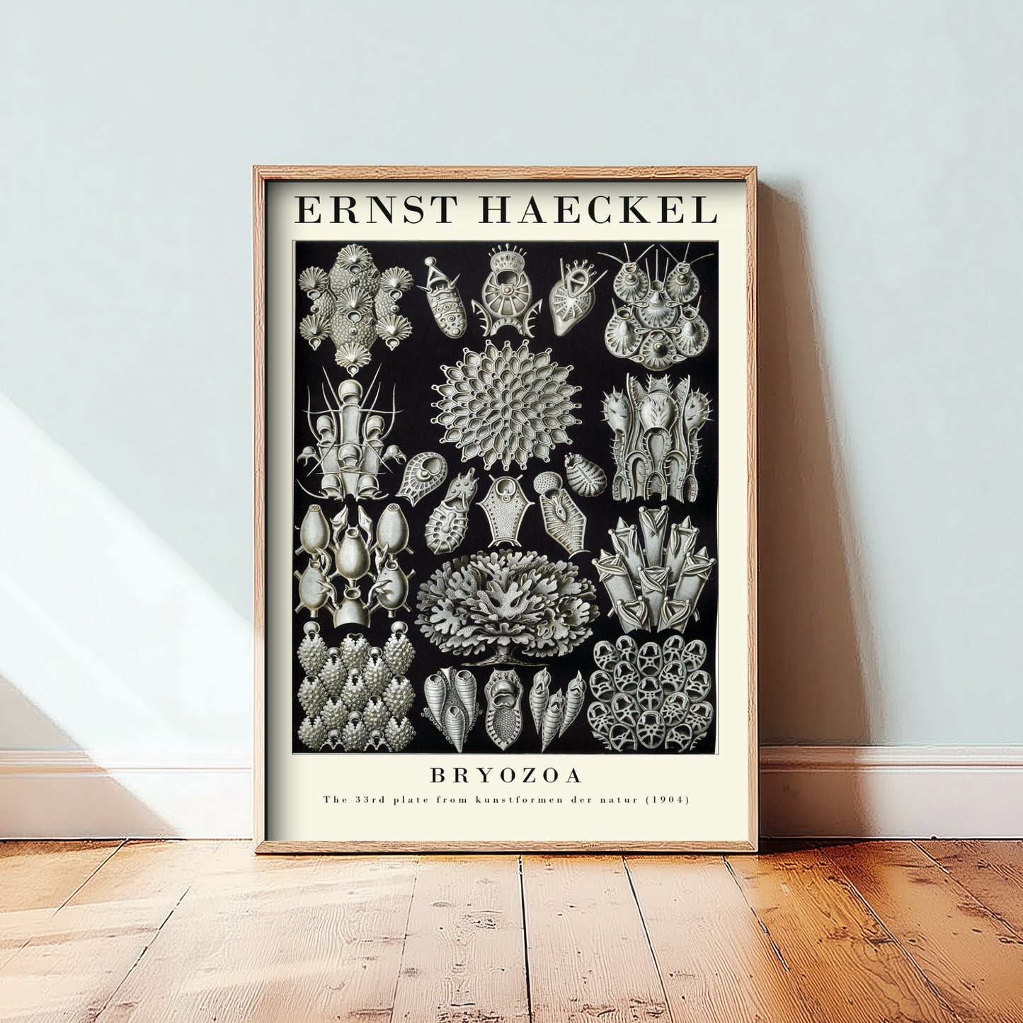 Bryozoa Art Print - Ernst Haeckel Poster - Moss Animals Plate 33 - Art Forms in Nature Vintage Illustration