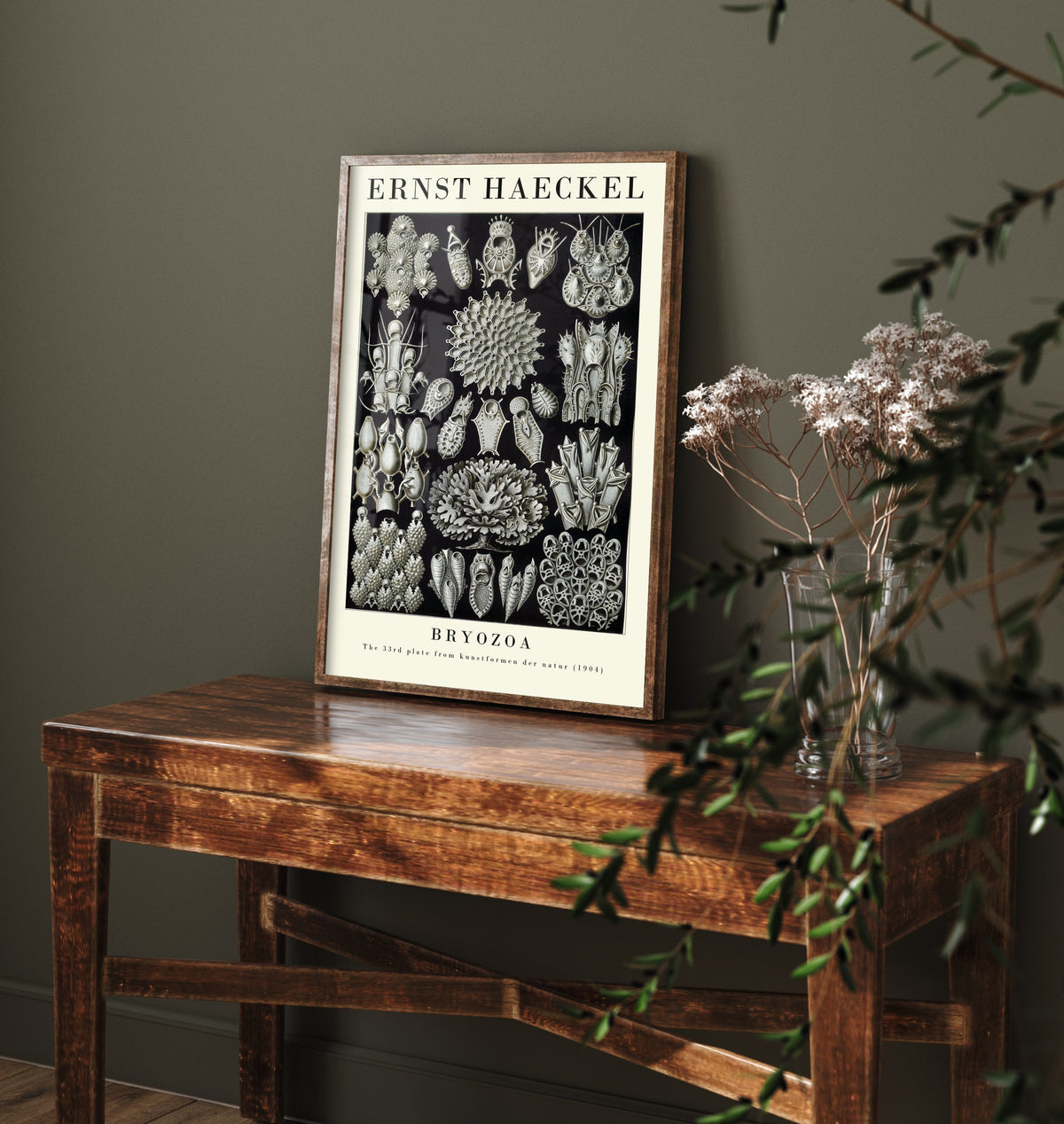 Bryozoa Art Print - Ernst Haeckel Poster - Moss Animals Plate 33 - Art Forms in Nature Vintage Illustration