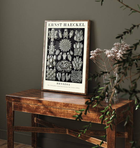 Bryozoa Art Print - Ernst Haeckel Poster - Moss Animals Plate 33 - Art Forms in Nature Vintage Illustration