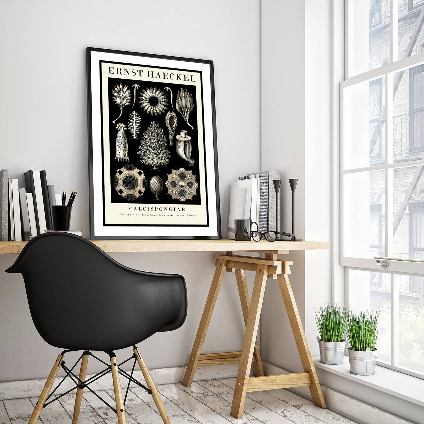 Sea Sponge Art Print - Ernst Haeckel Poster - Calcispongiae Plate 5 - Art Forms in Nature Vintage Illustration