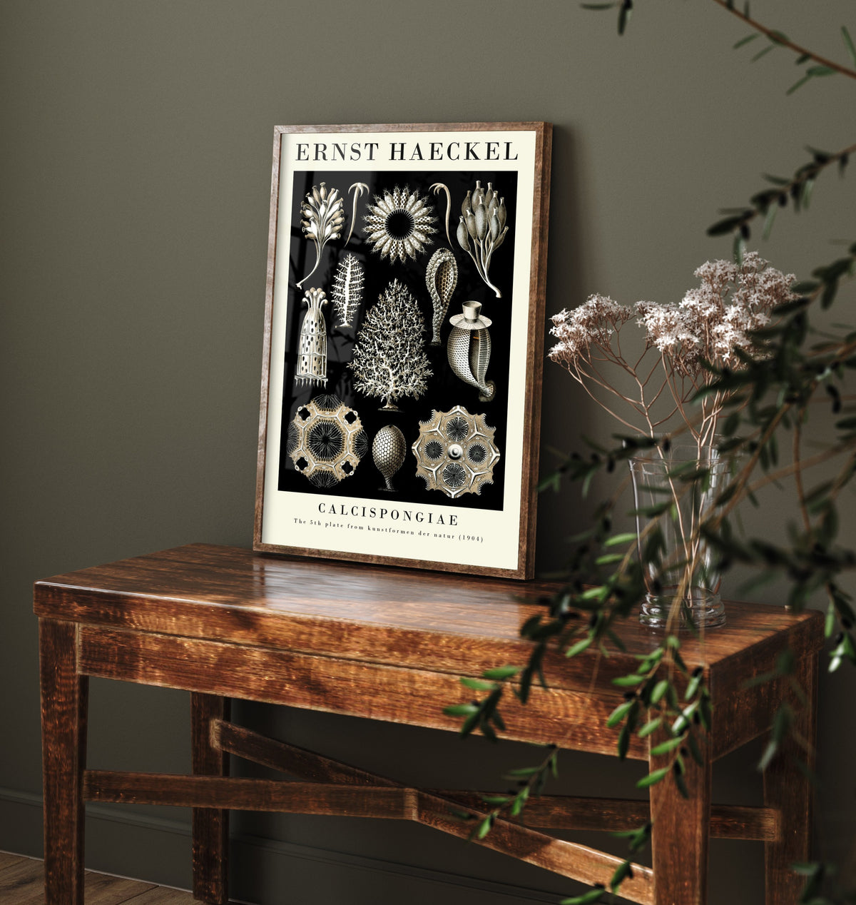 Sea Sponge Art Print - Ernst Haeckel Poster - Calcispongiae Plate 5 - Art Forms in Nature Vintage Illustration