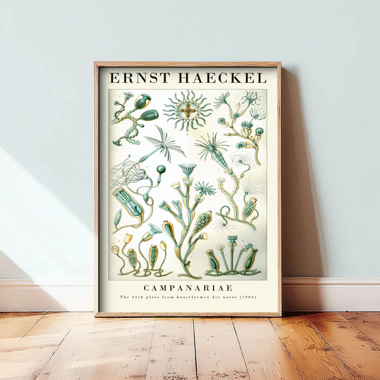 Hydroids Art Print - Ernst Haeckel Poster - Campanariae Plate 45 - Art Forms in Nature Vintage Illustration