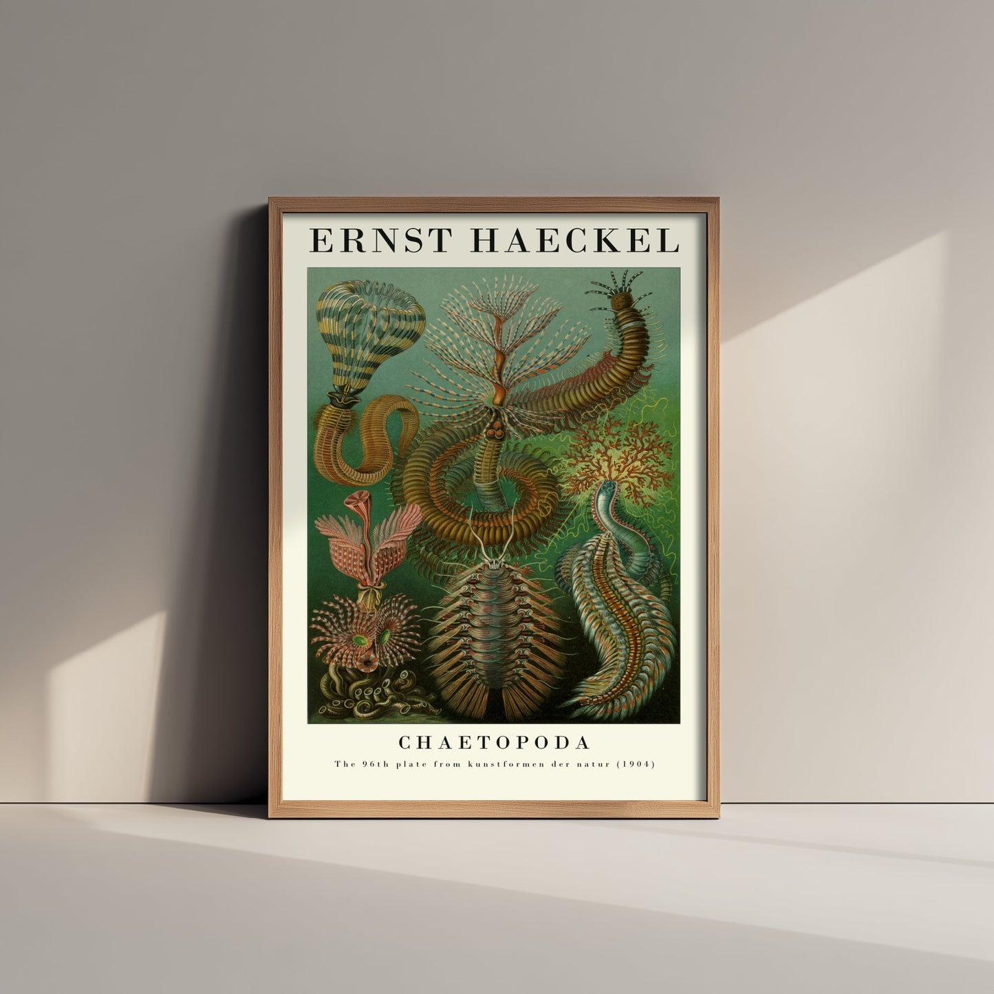 Bristle Worms Art Print - Ernst Haeckel Poster - Chaetopoda Plate 96 - Art Forms in Nature Vintage Illustration