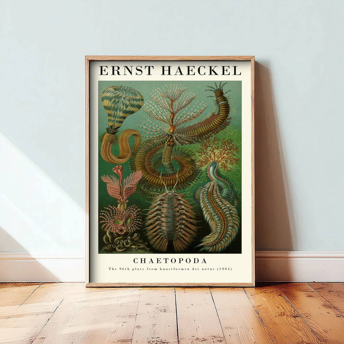 Bristle Worms Art Print - Ernst Haeckel Poster - Chaetopoda Plate 96 - Art Forms in Nature Vintage Illustration