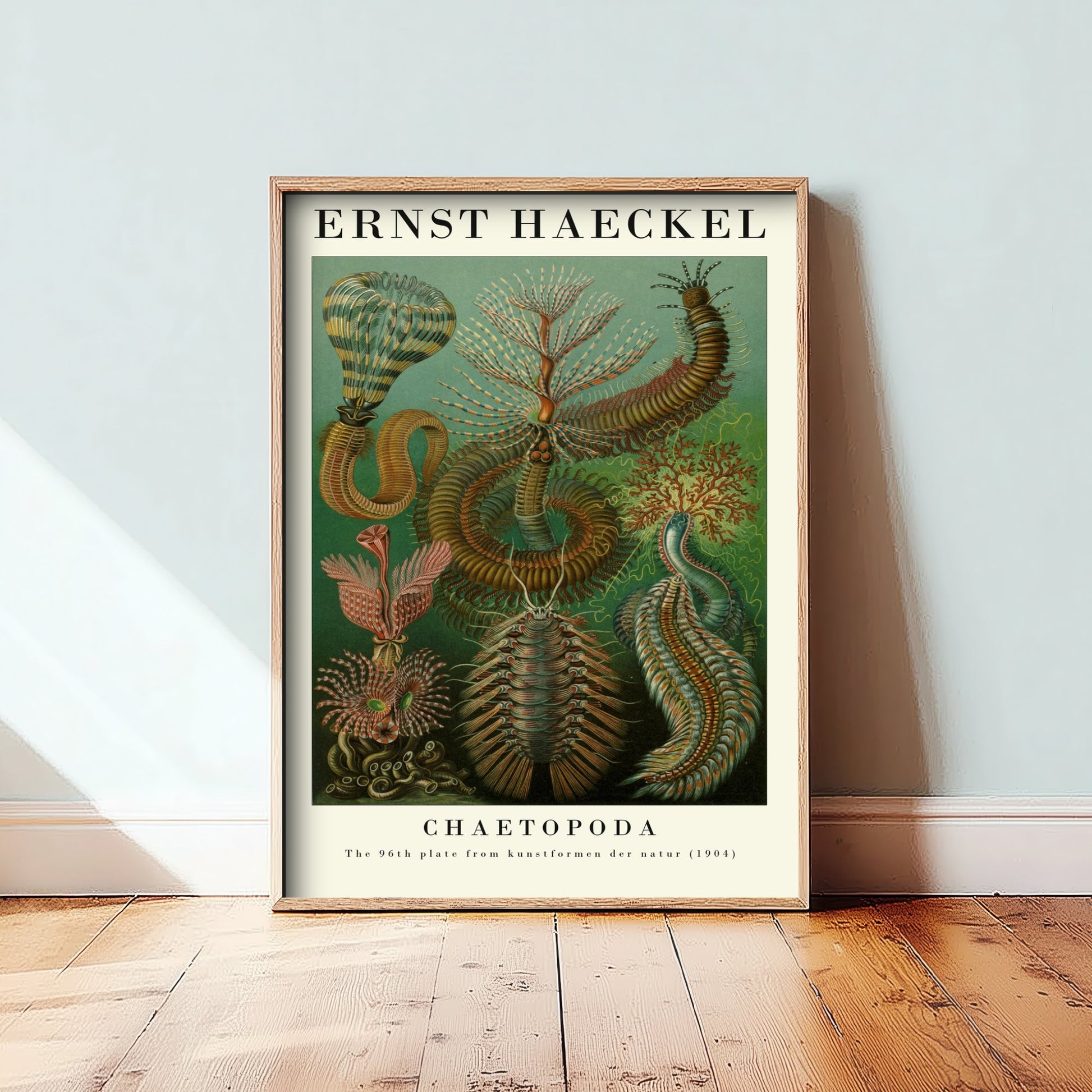 Bristle Worms Art Print - Ernst Haeckel Poster - Chaetopoda Plate 96 - Art Forms in Nature Vintage Illustration