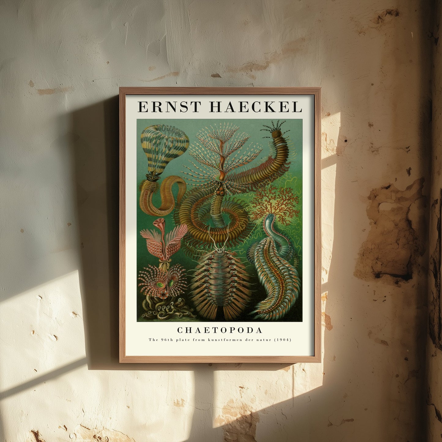 Bristle Worms Art Print - Ernst Haeckel Poster - Chaetopoda Plate 96 - Art Forms in Nature Vintage Illustration