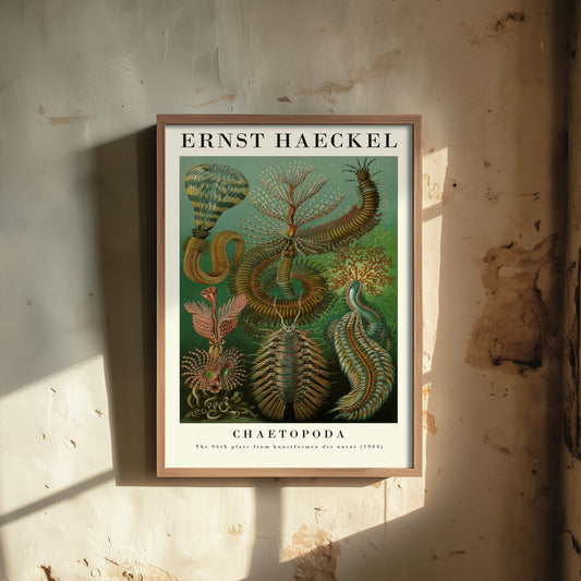 Bristle Worms Art Print - Ernst Haeckel Poster - Chaetopoda Plate 96 - Art Forms in Nature Vintage Illustration