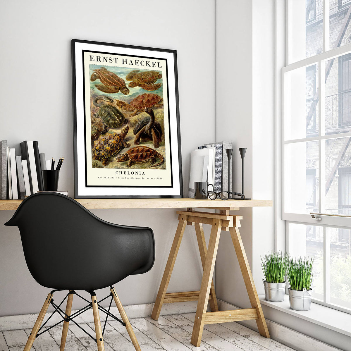 Sea Turtles Art Print - Ernst Haeckel Poster - Chelonia Plate 89 - Art Forms in Nature Vintage Illustration