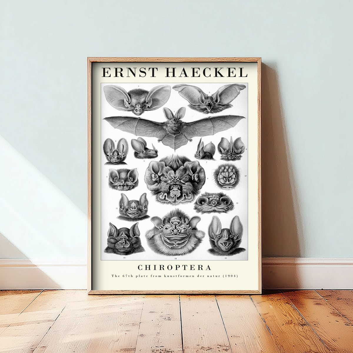 Bats Art Print - Ernst Haeckel Poster - Chiroptera Plate 67 - Art Forms in Nature Vintage Illustration