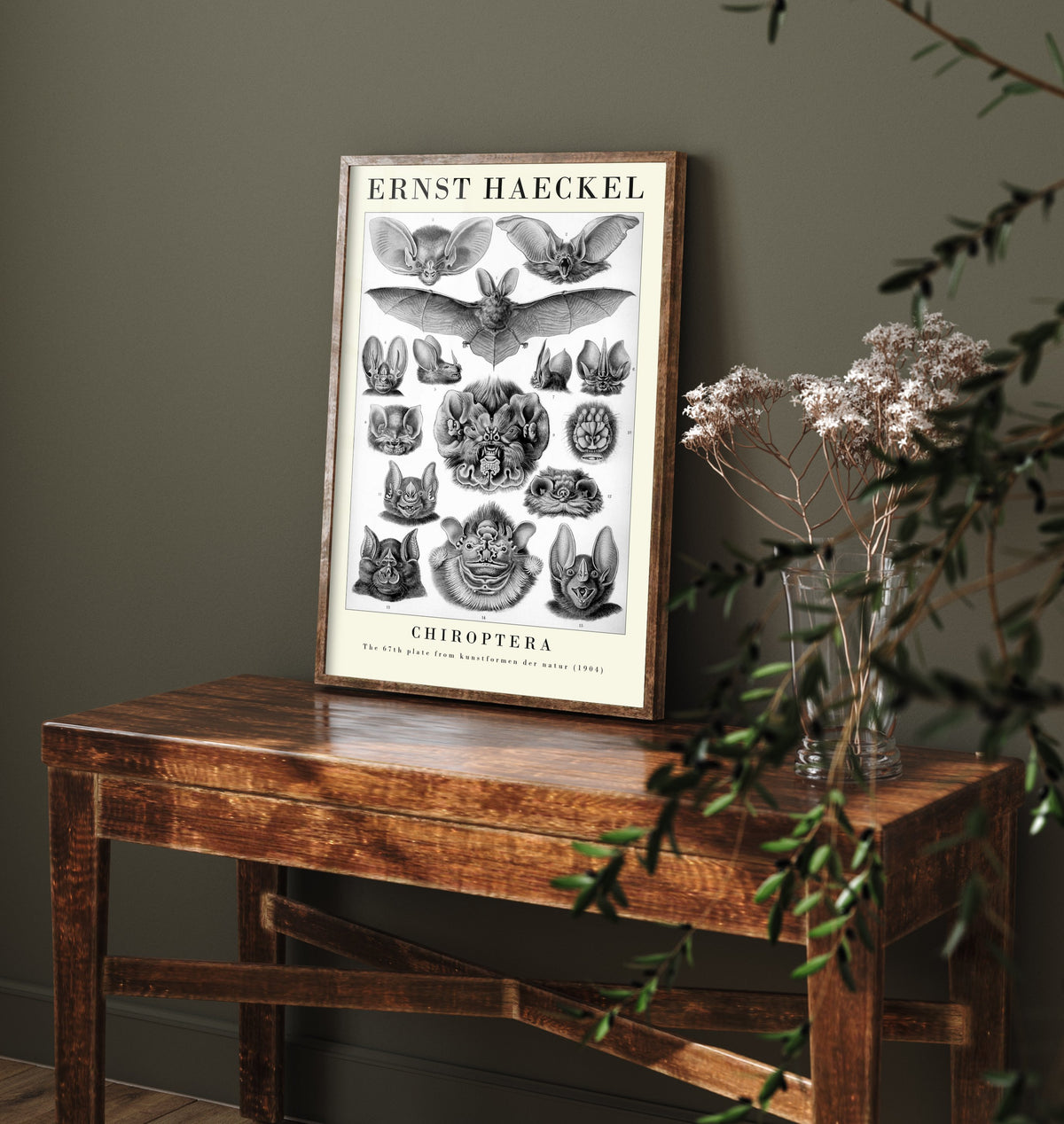 Bats Art Print - Ernst Haeckel Poster - Chiroptera Plate 67 - Art Forms in Nature Vintage Illustration