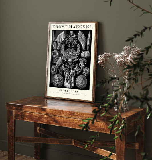 Barnacles Art Print - Ernst Haeckel Poster - Cirripedia Plate 57 - Art Forms in Nature Vintage Illustration