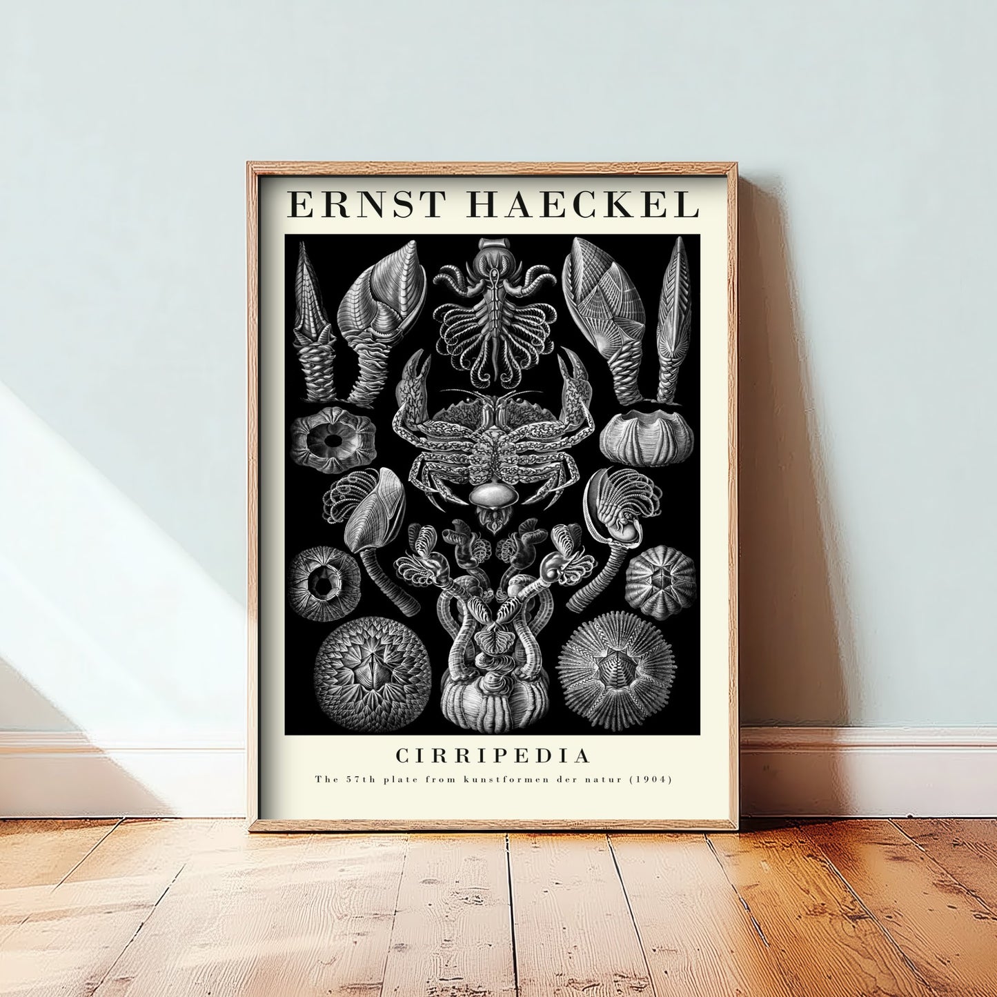 Barnacles Art Print - Ernst Haeckel Poster - Cirripedia Plate 57 - Art Forms in Nature Vintage Illustration