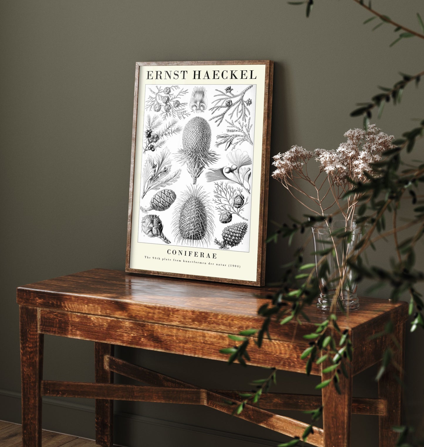 Conifers Art Print - Ernst Haeckel Poster - Coniferae Plate 94 - Art Forms in Nature Vintage Illustration