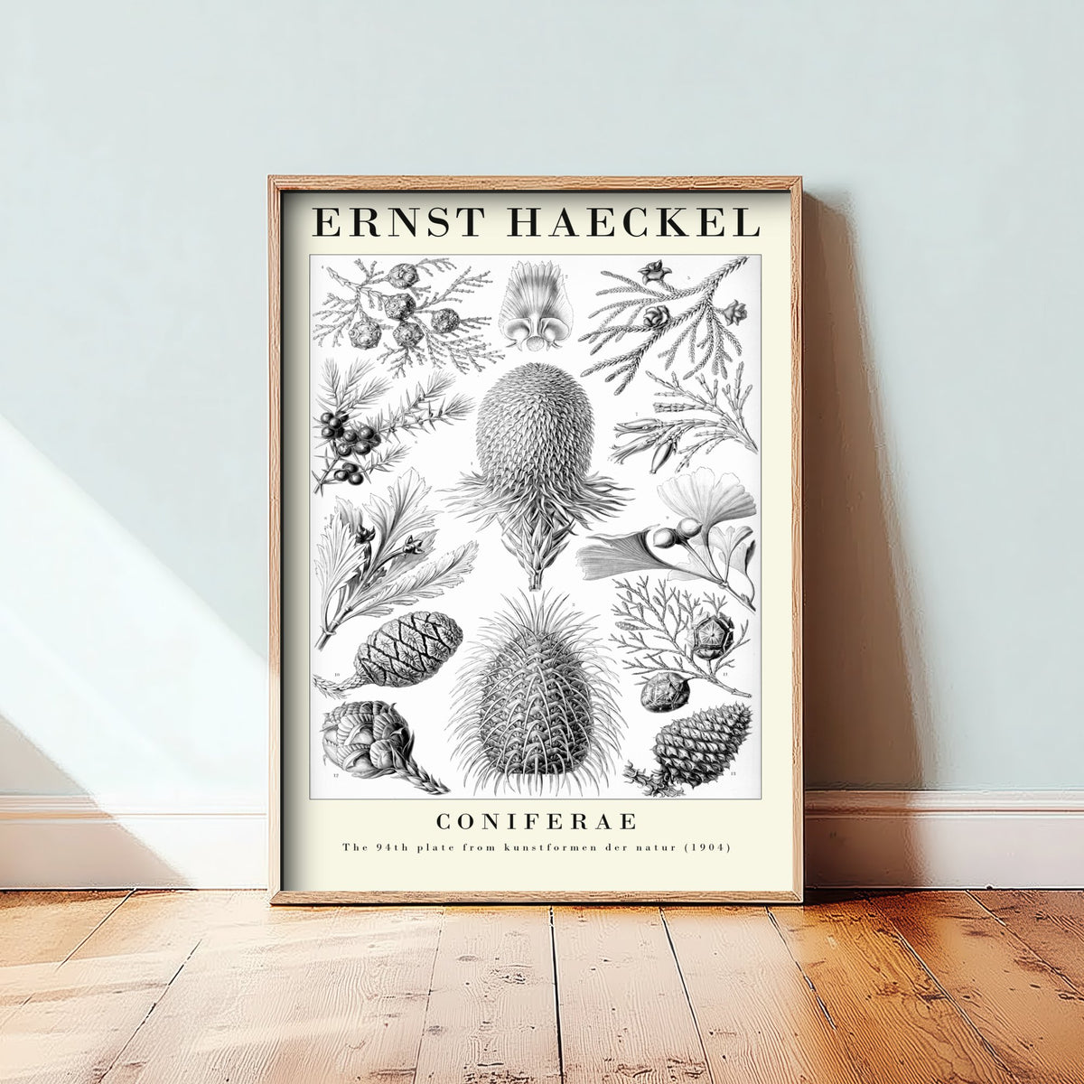 Conifers Art Print - Ernst Haeckel Poster - Coniferae Plate 94 - Art Forms in Nature Vintage Illustration