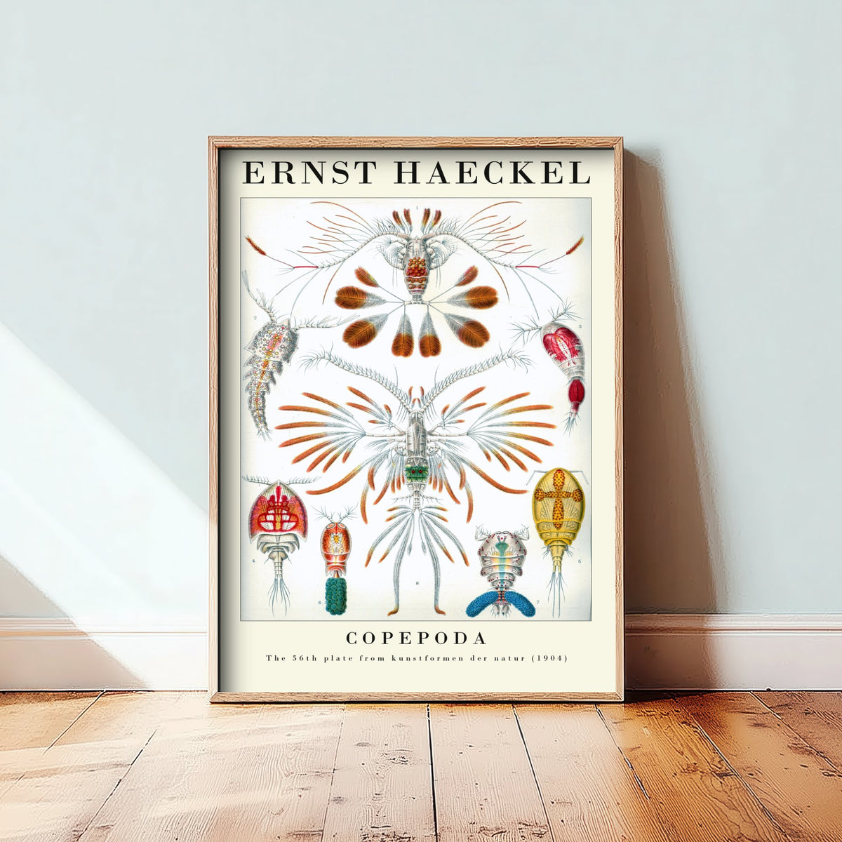 Copepods Art Print - Ernst Haeckel Poster - Copepoda Plate 56 - Art Forms in Nature Vintage Illustration